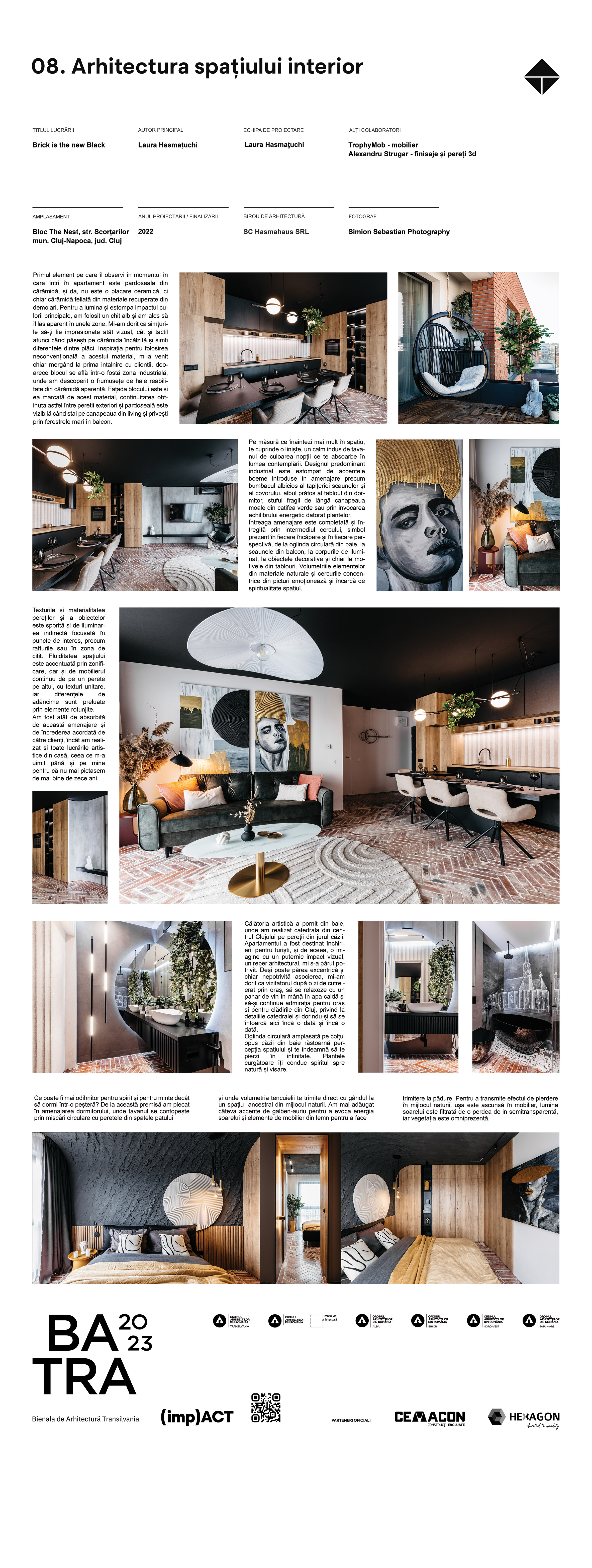 08 07 laura-hasmatuchi brick-is-the-new-black Panou1