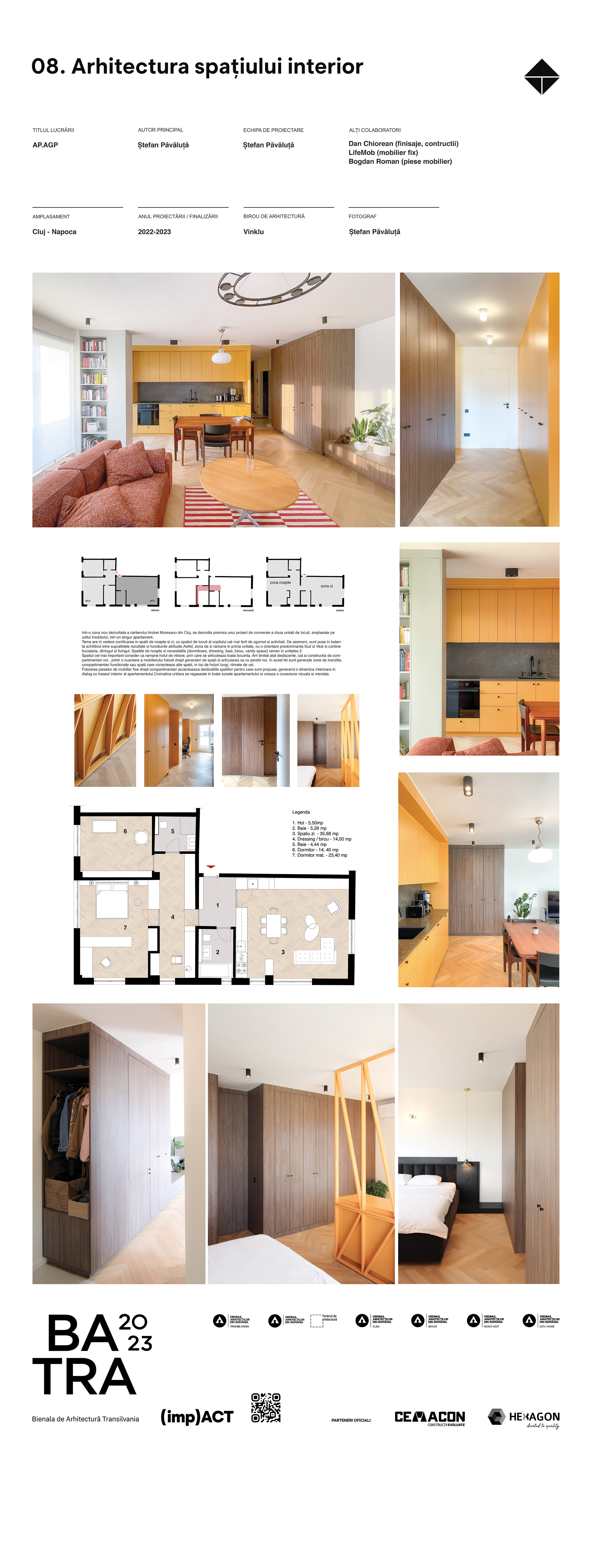 08 35 stefan-pavaluta ap-agp 08 BATRA 2023 82 x 217 cm