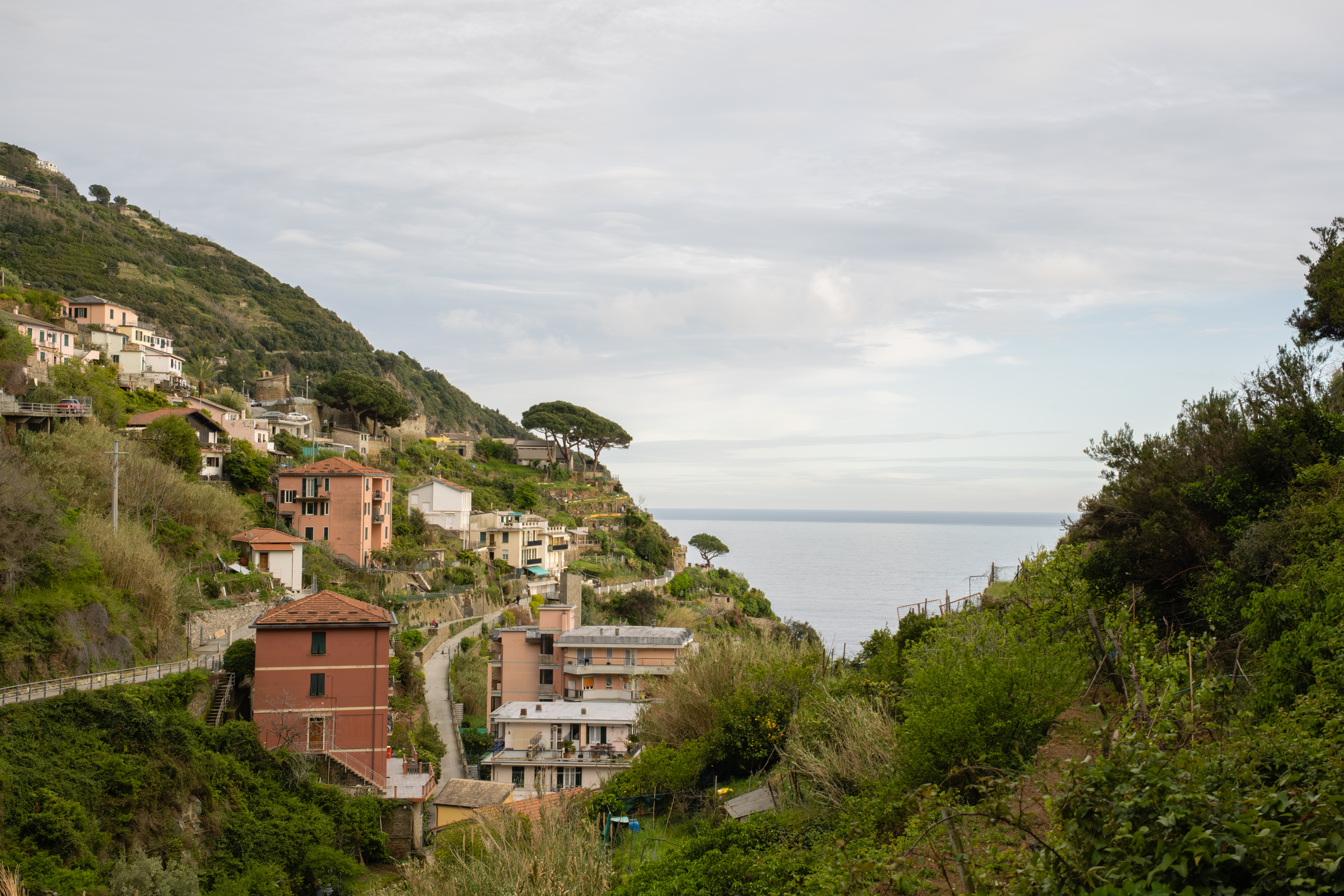ilie-daniel-cocan cuibarit-pe-coasta-cinque-terre-italia