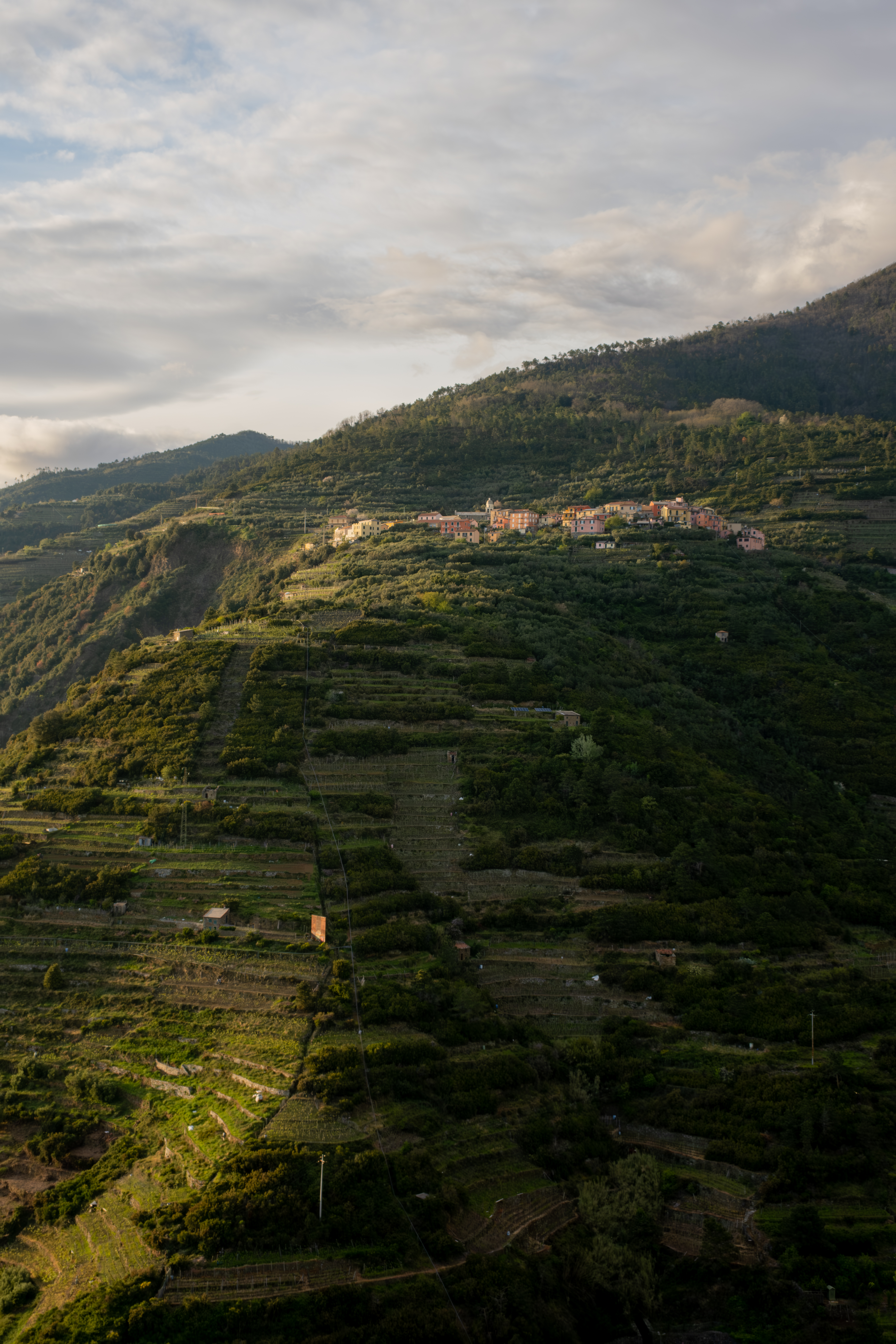 ilie-daniel-cocan cuibarit-pe-coasta-cinque-terre-italia
