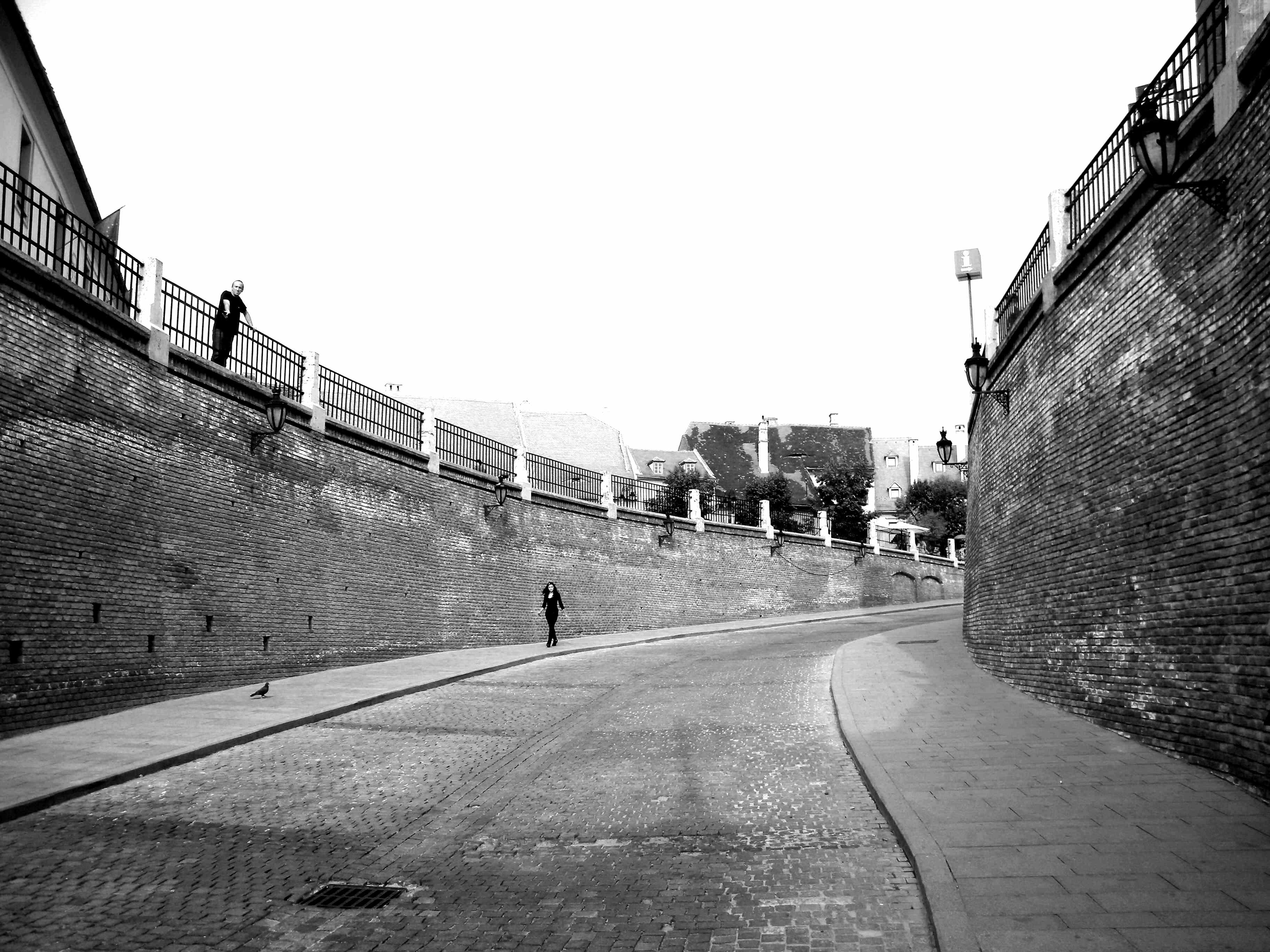 larissa-koncz fuga DSCN9935 bw net