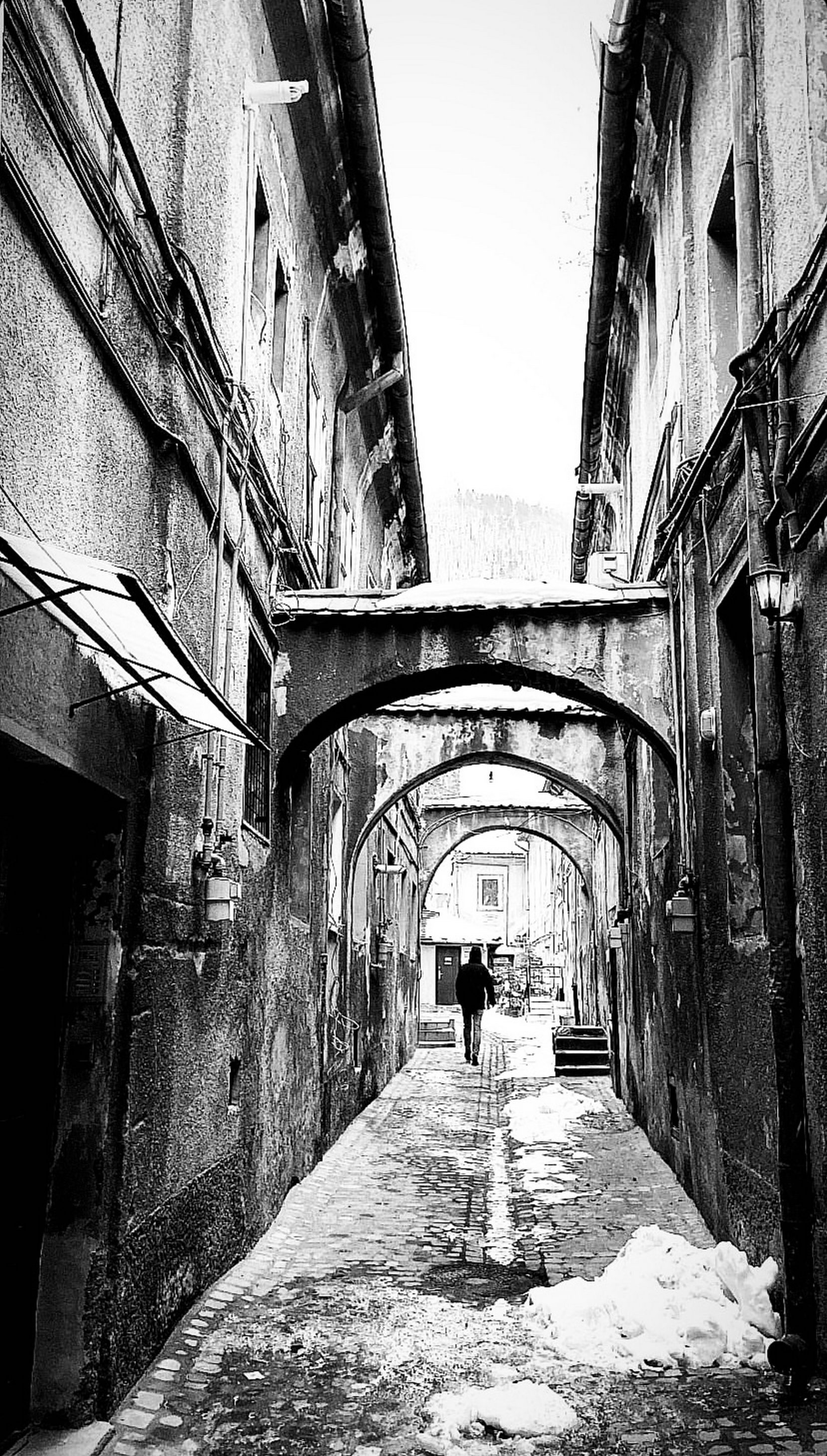 larissa-koncz fuga IMG