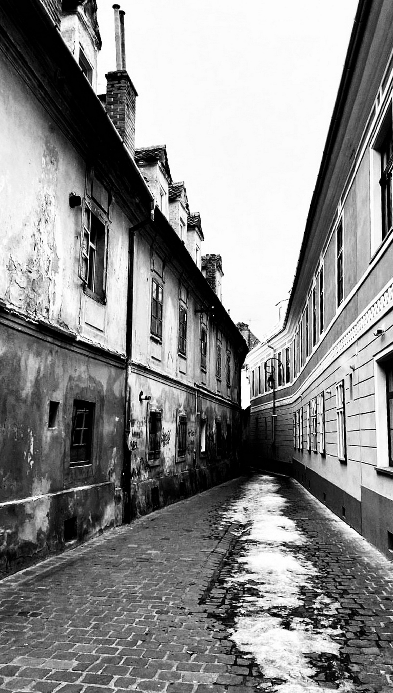 larissa-koncz fuga IMG