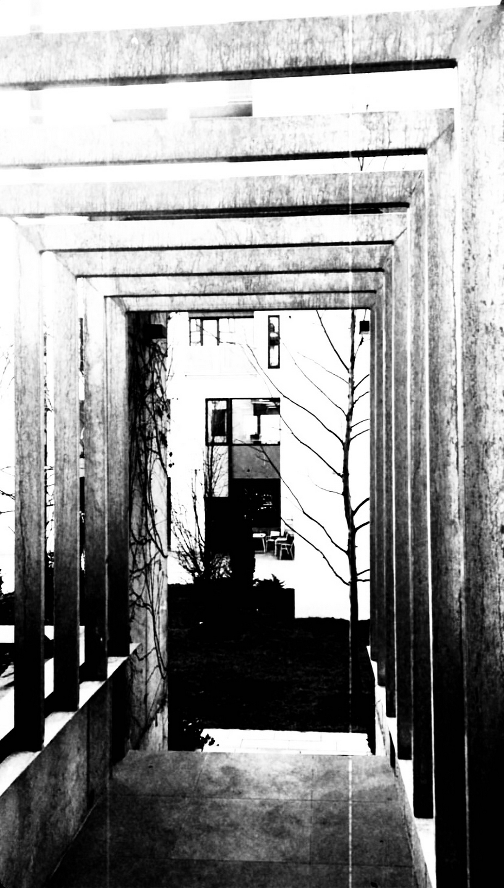 larissa-koncz fuga IMG