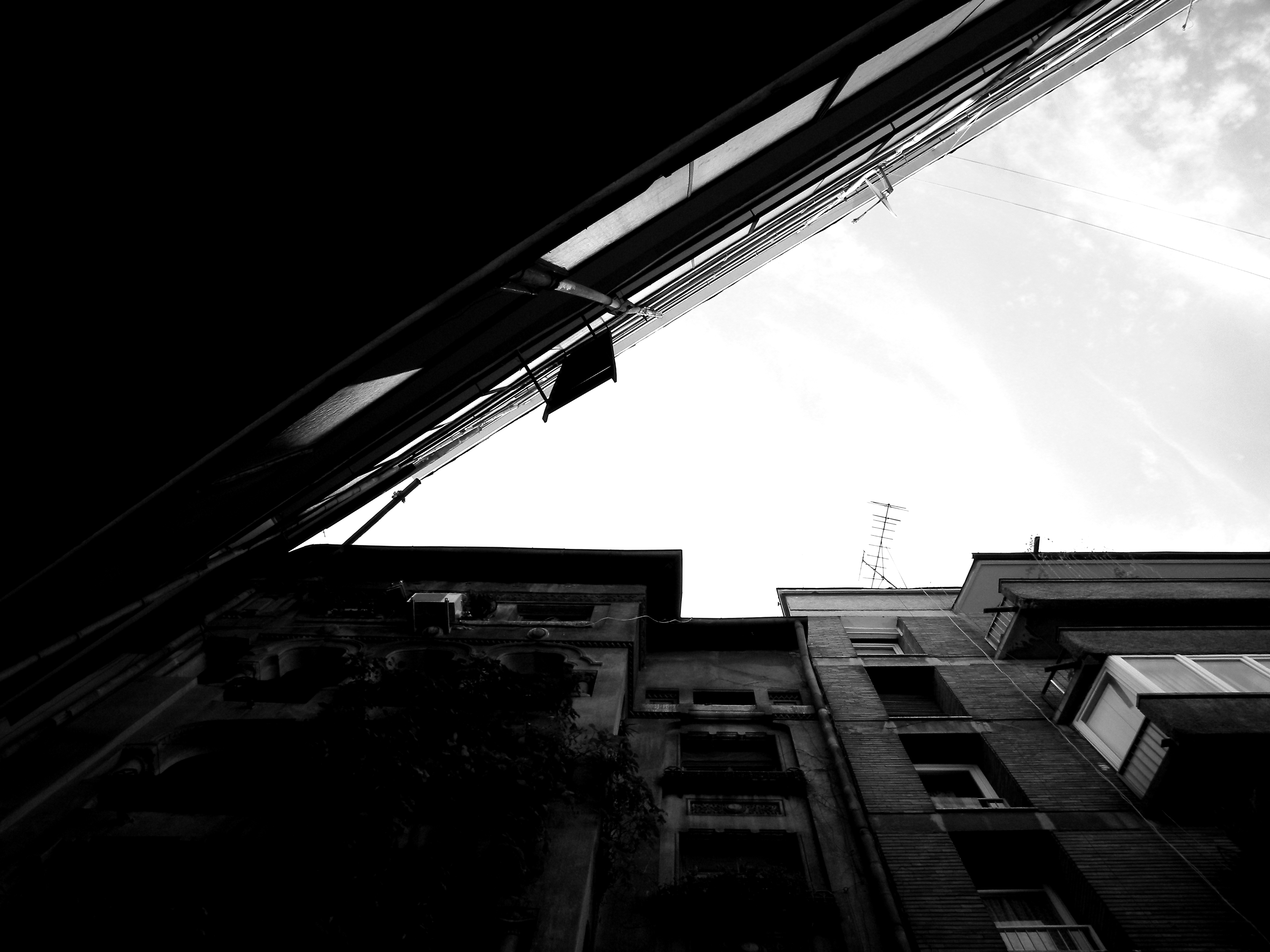 larissa-koncz bnw-2 DSCN