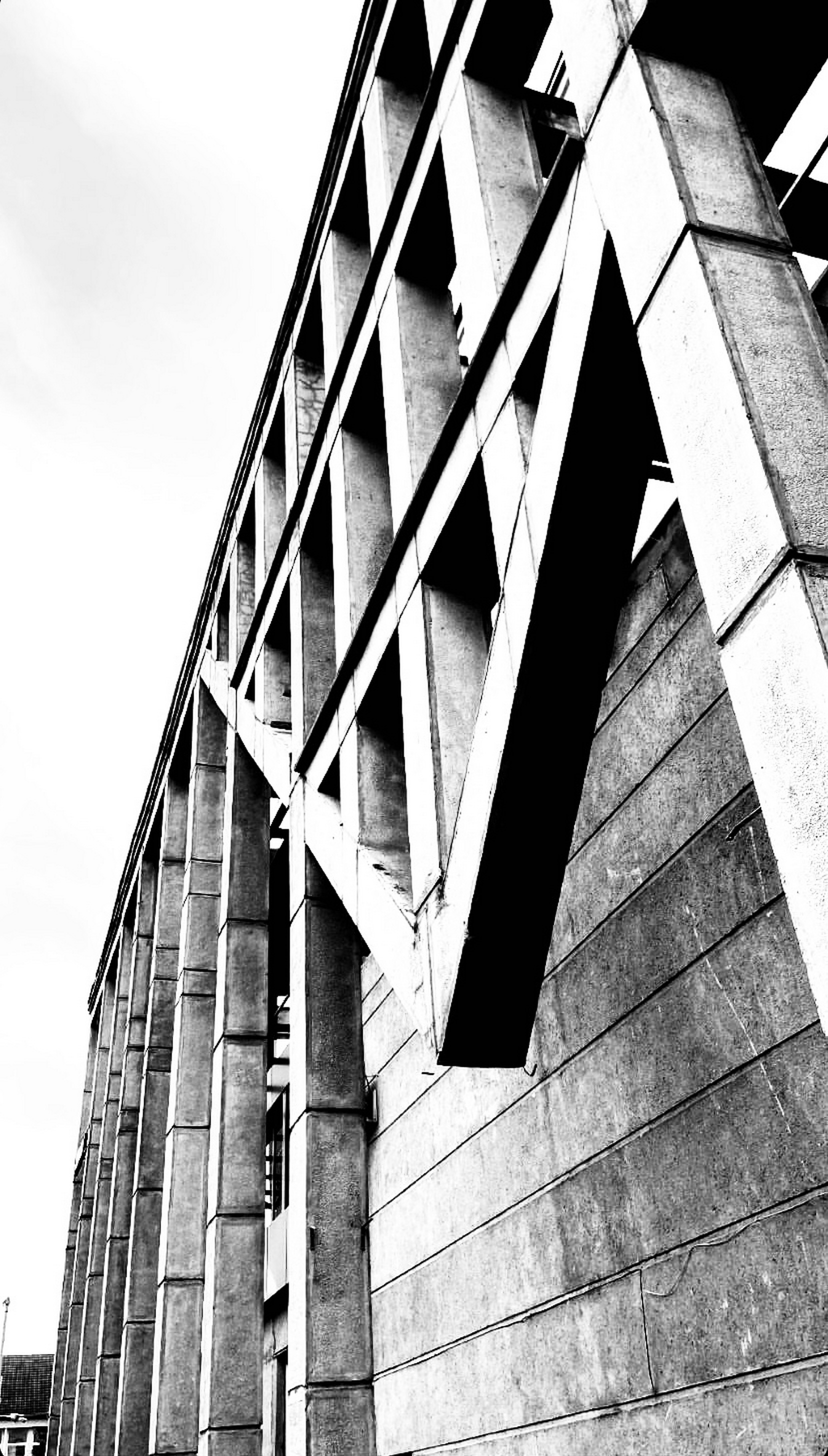 larissa-koncz bnw-2 IMG