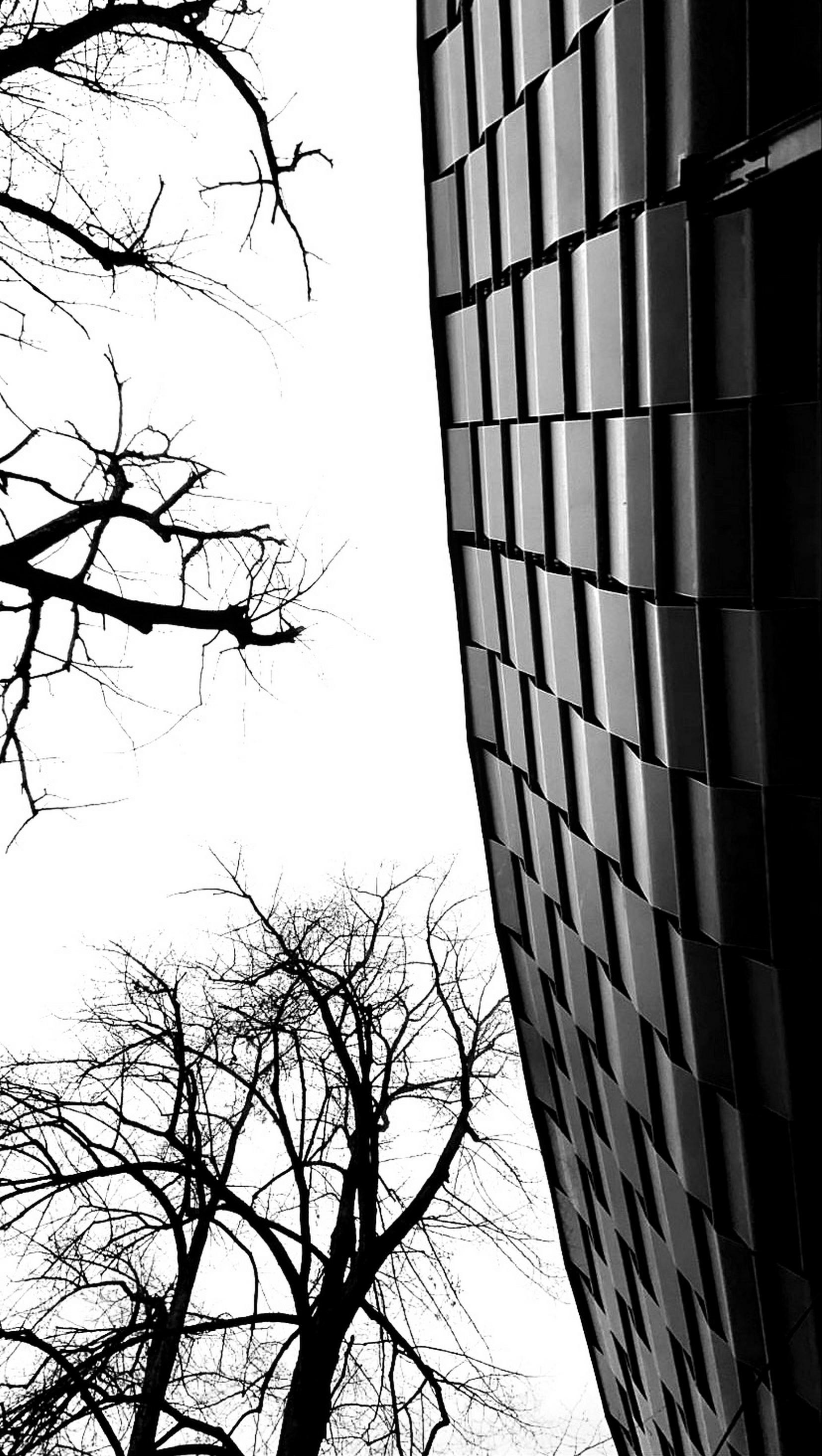 larissa-koncz bnw-2 IMG