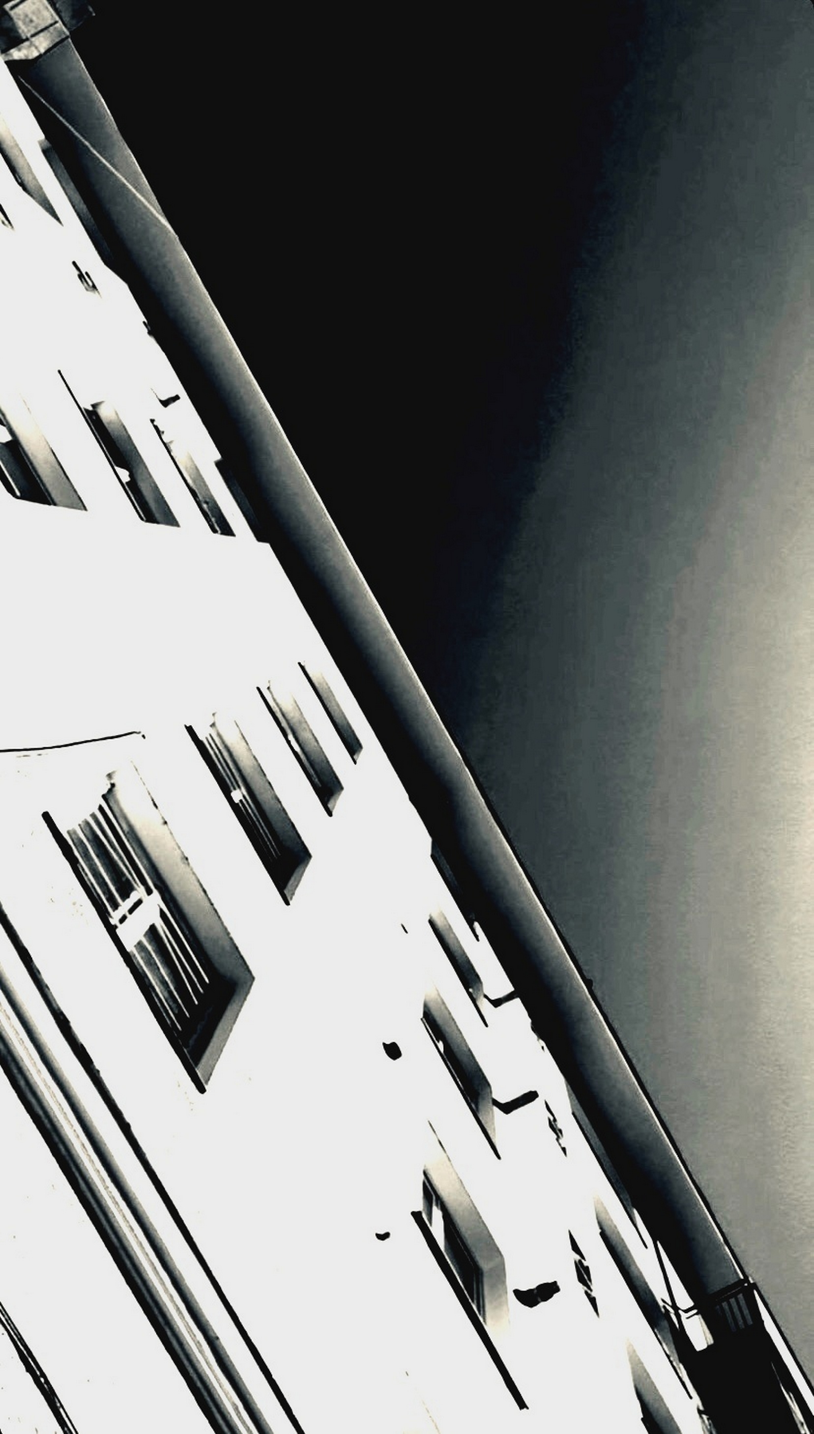 larissa-koncz bnw-2 IMG