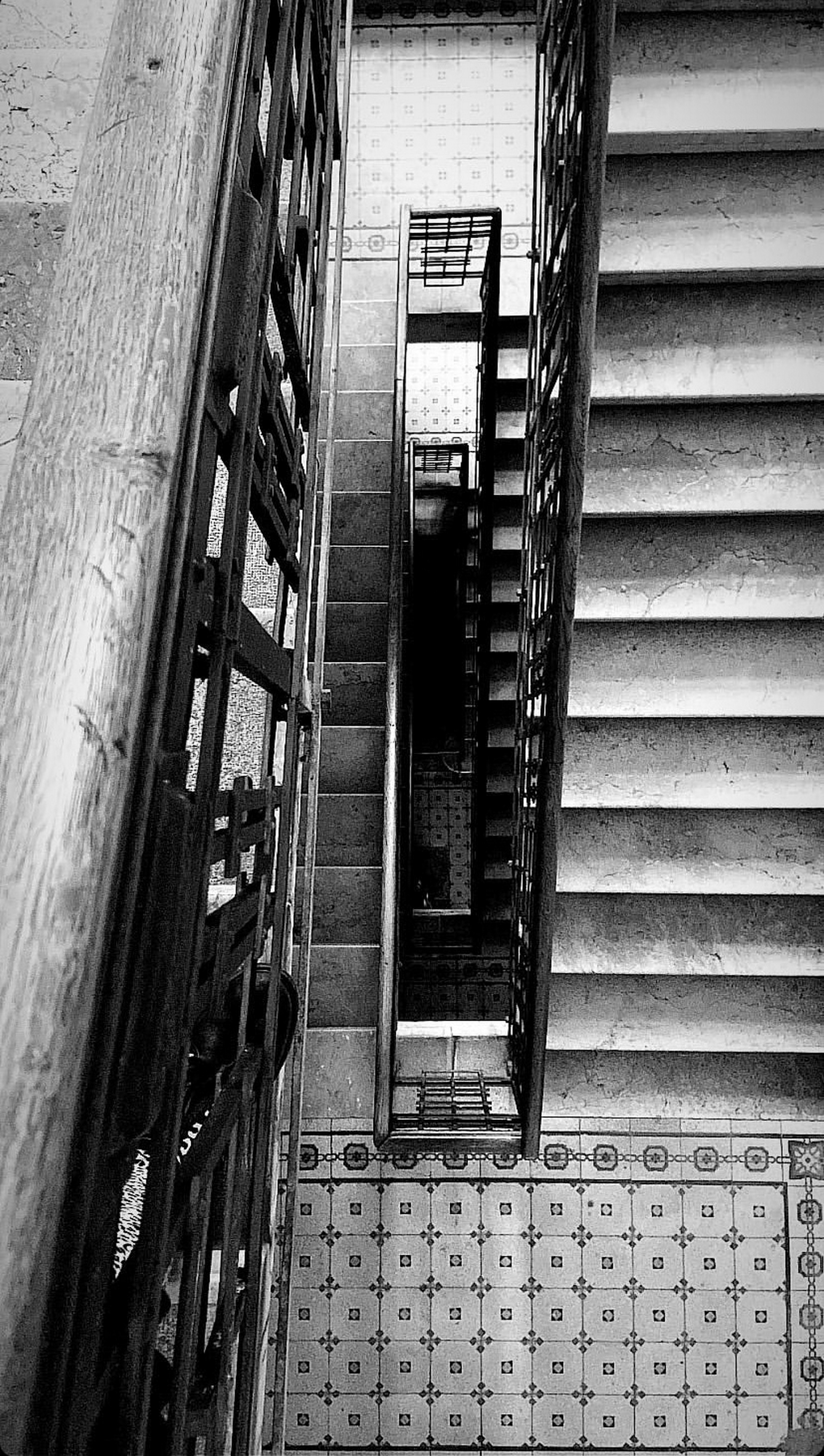 larissa-koncz oscara IMG