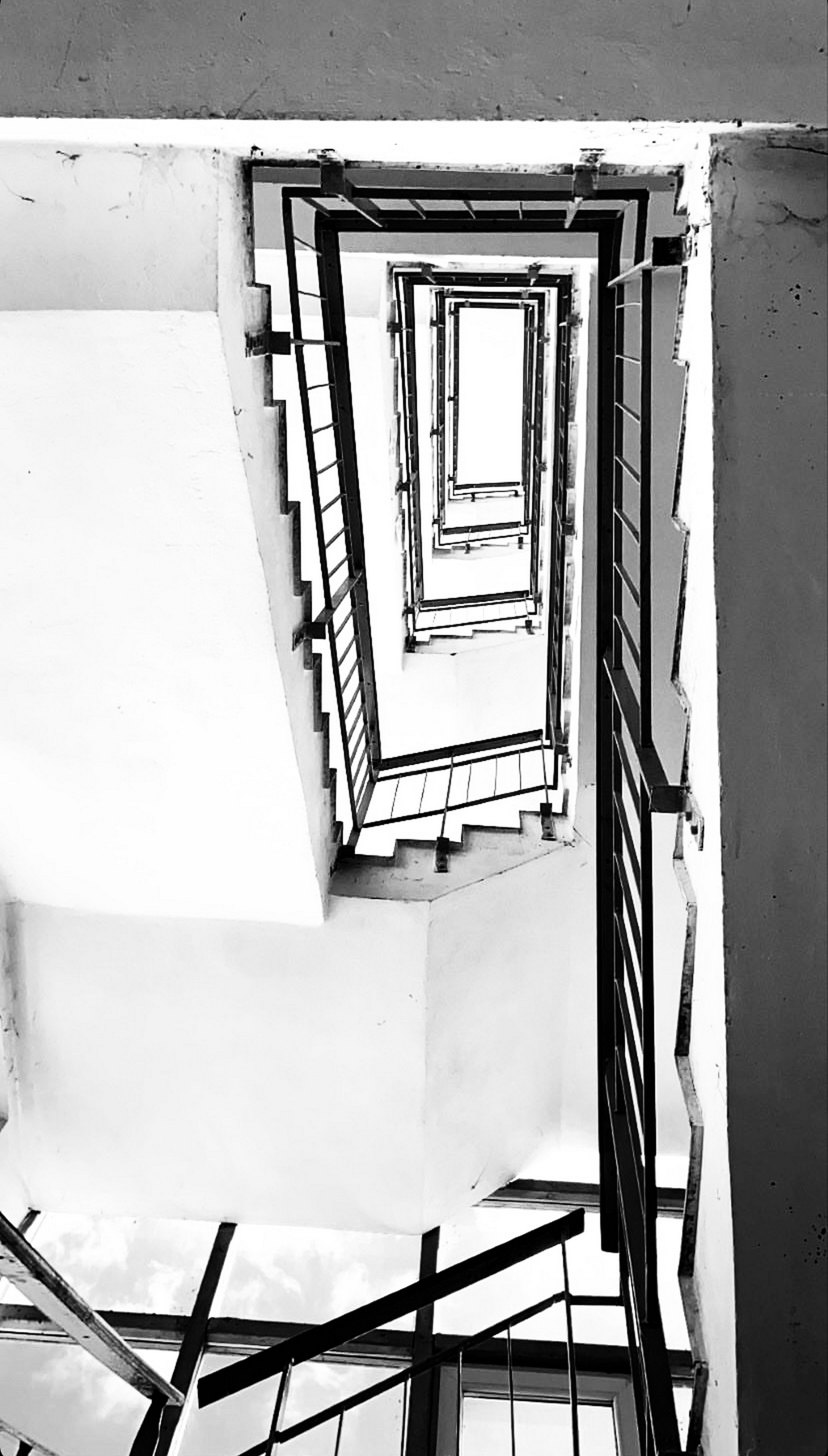 larissa-koncz oscara IMG