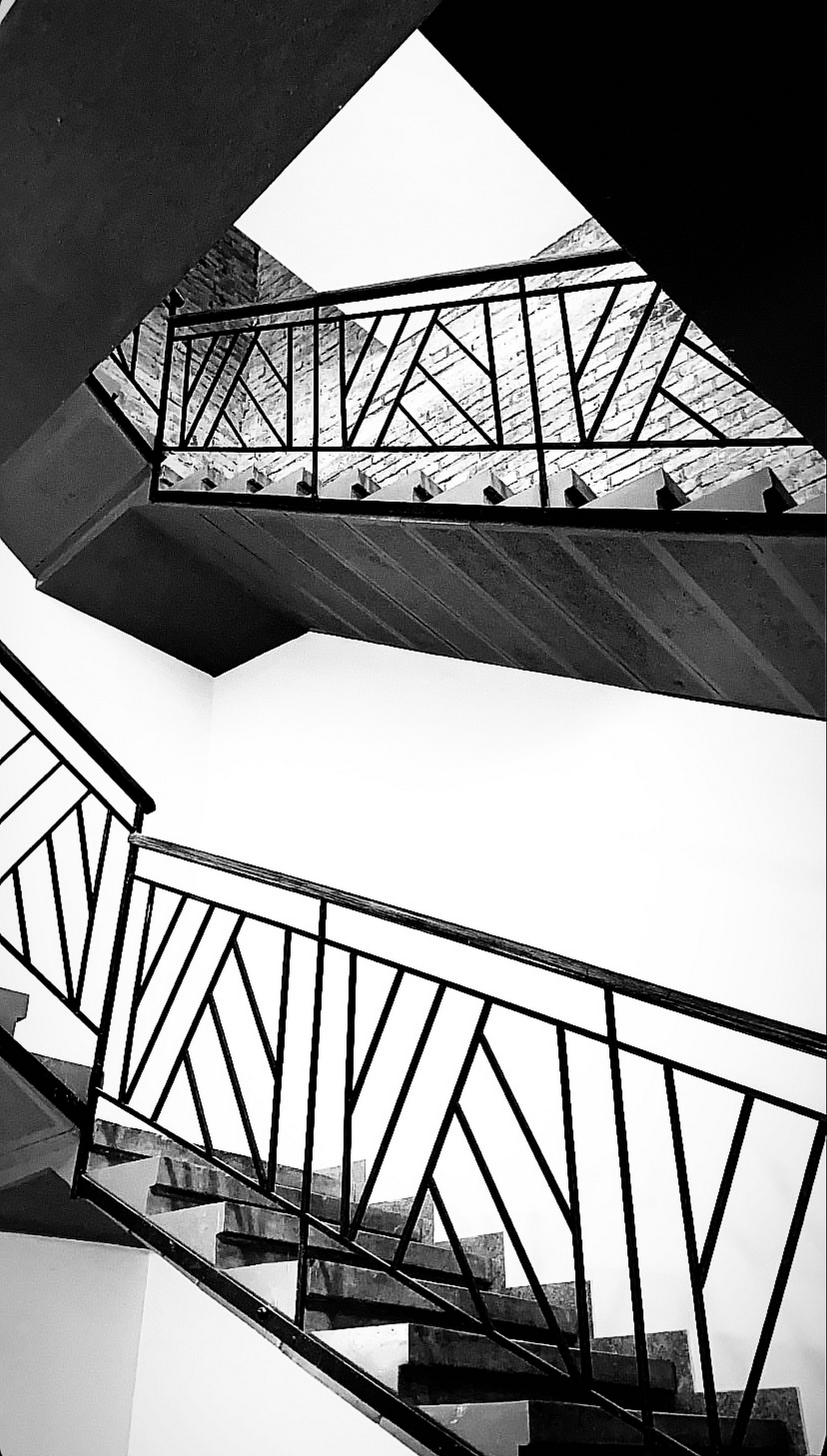 larissa-koncz oscara IMG