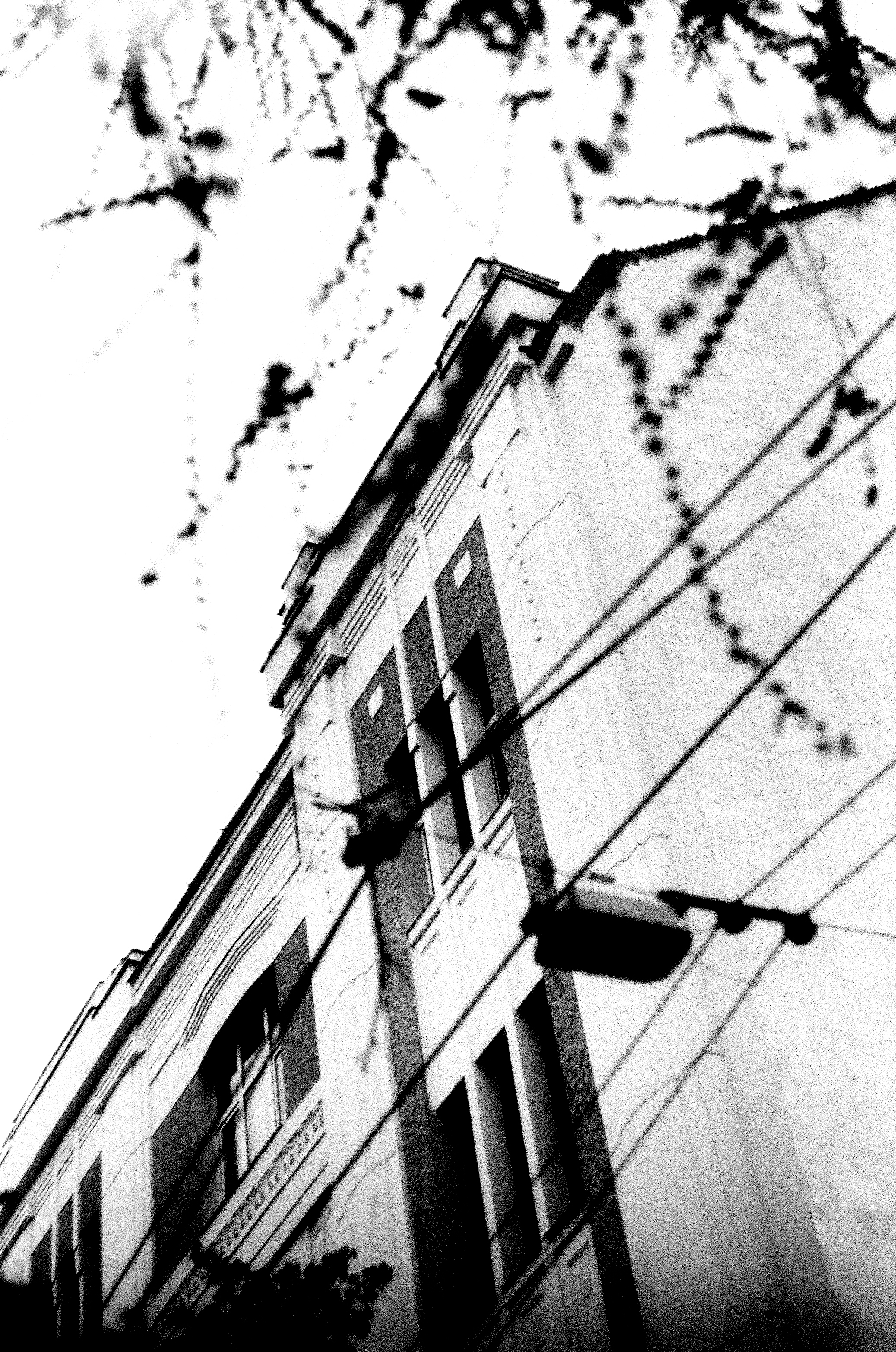 larissa-koncz analog-2-film-alb-negru-zenit