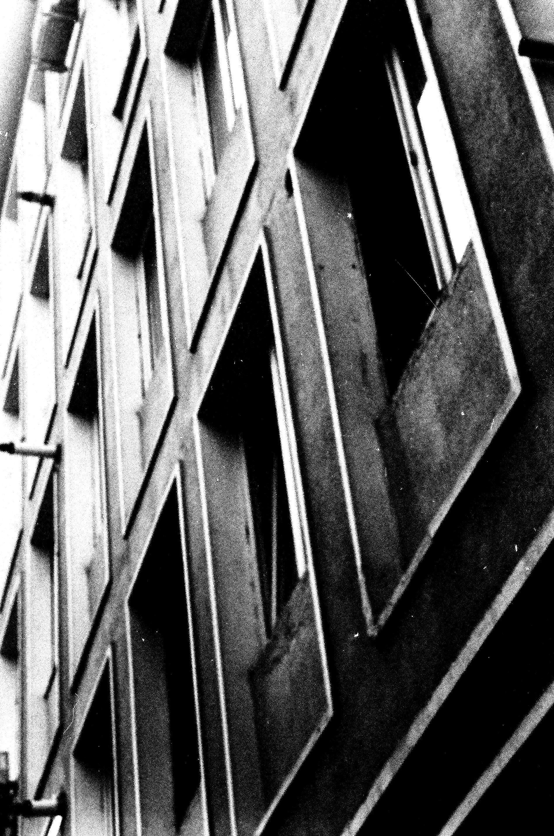 larissa-koncz analog-1-film-alb-negru-zenit