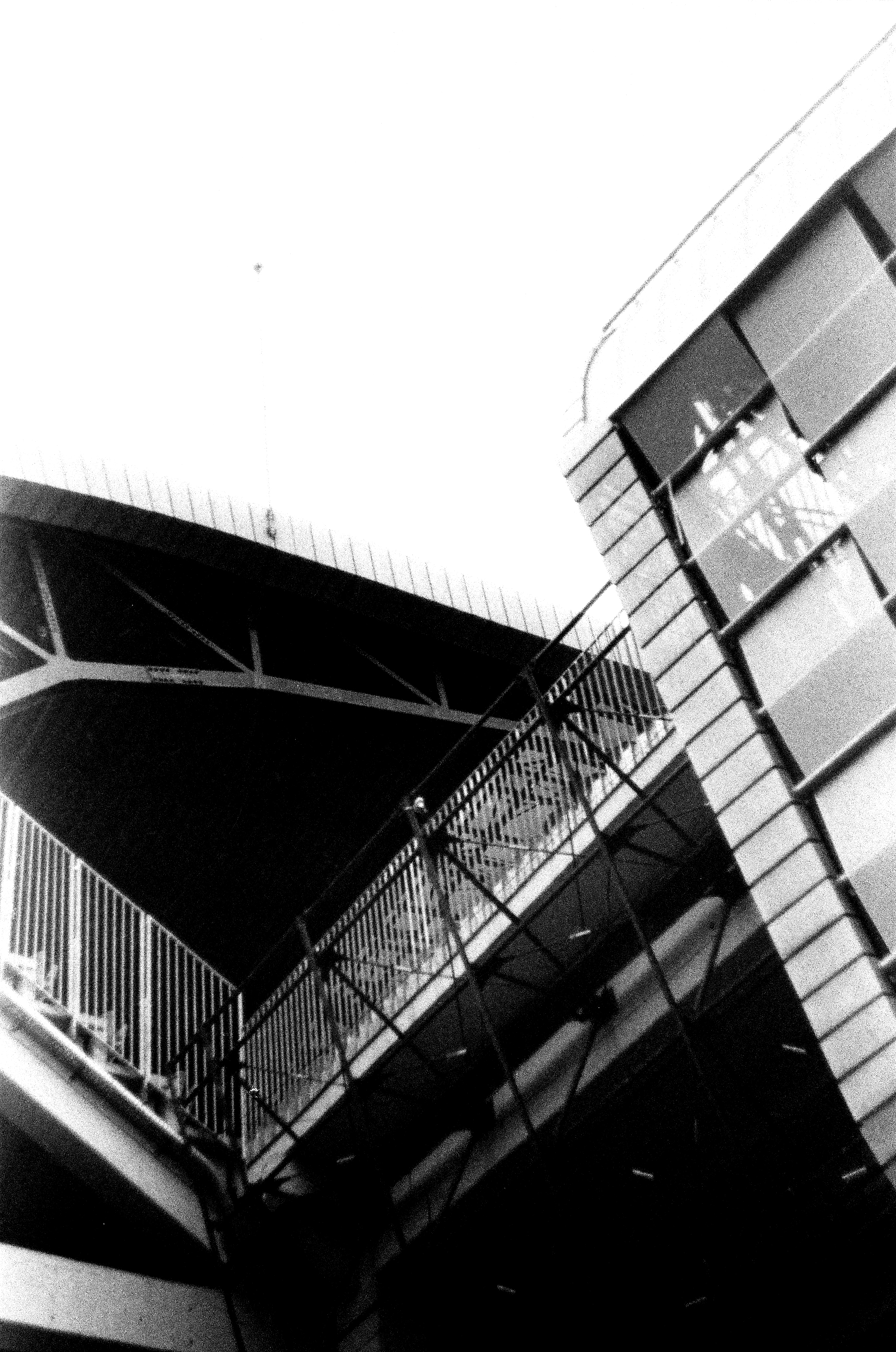 larissa-koncz analog-1-film-alb-negru-zenit