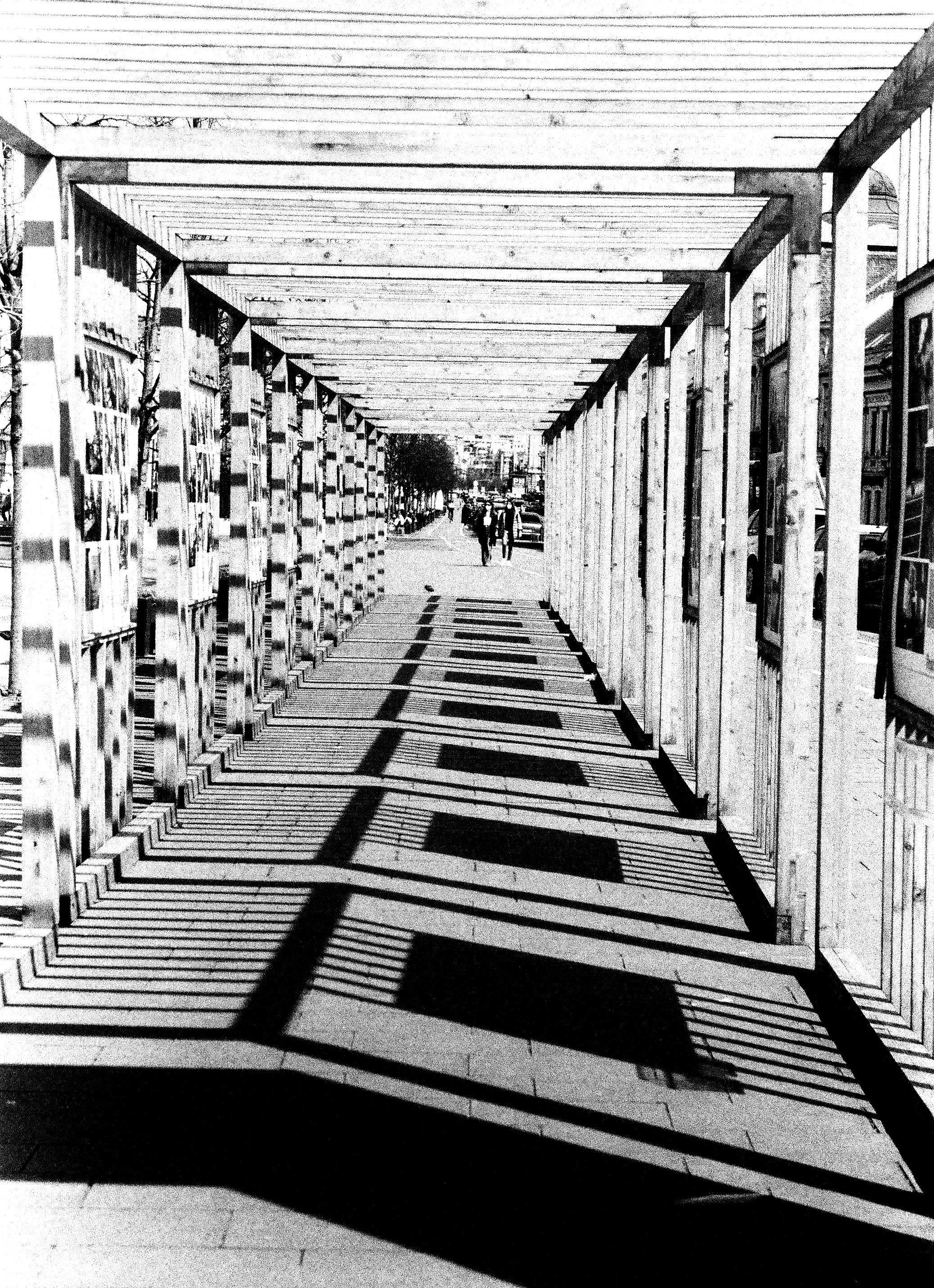 larissa-koncz analog-1-film-alb-negru-zenit