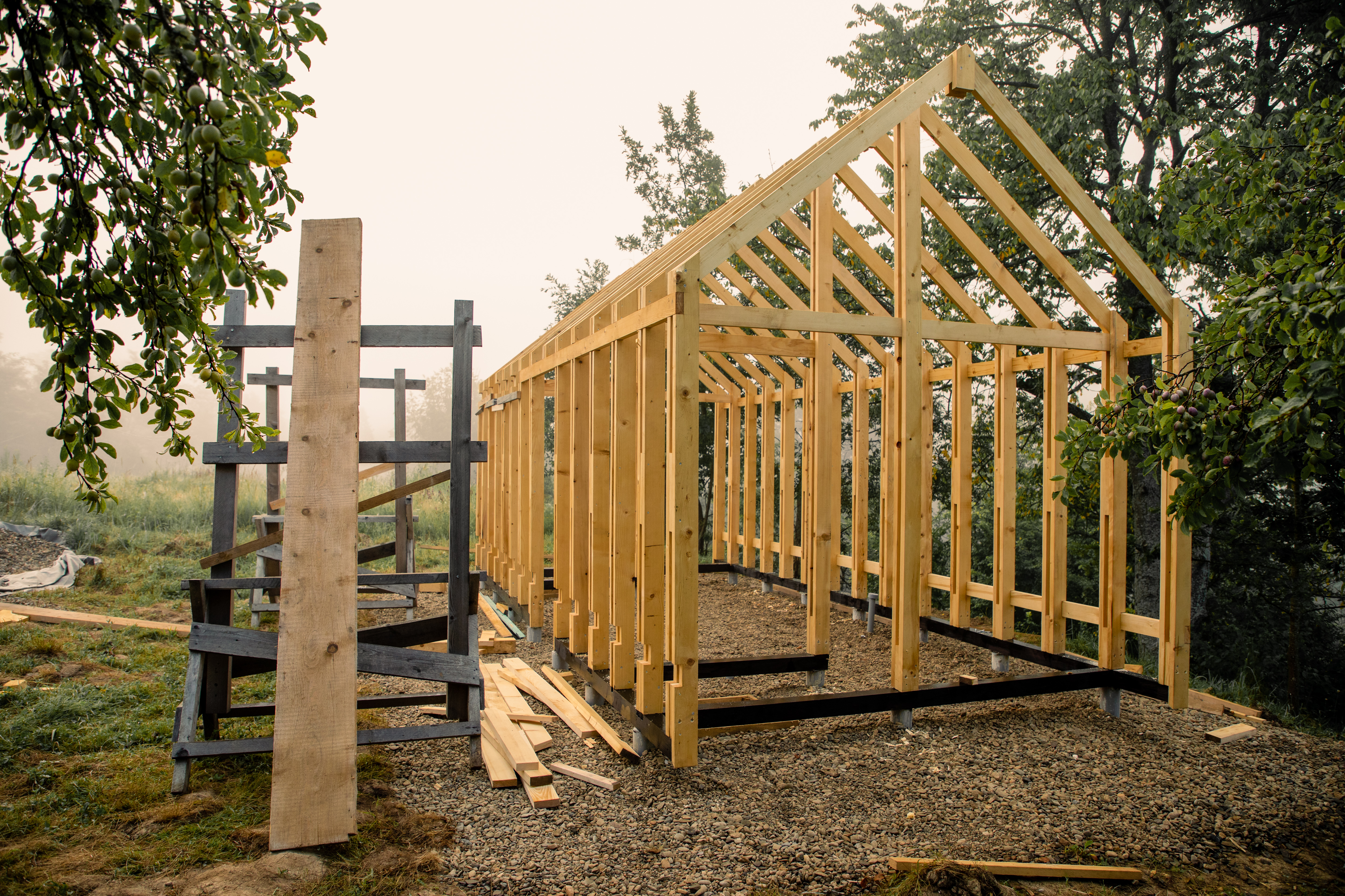 lupan-stefania intru-devenirea-verdelui-viu