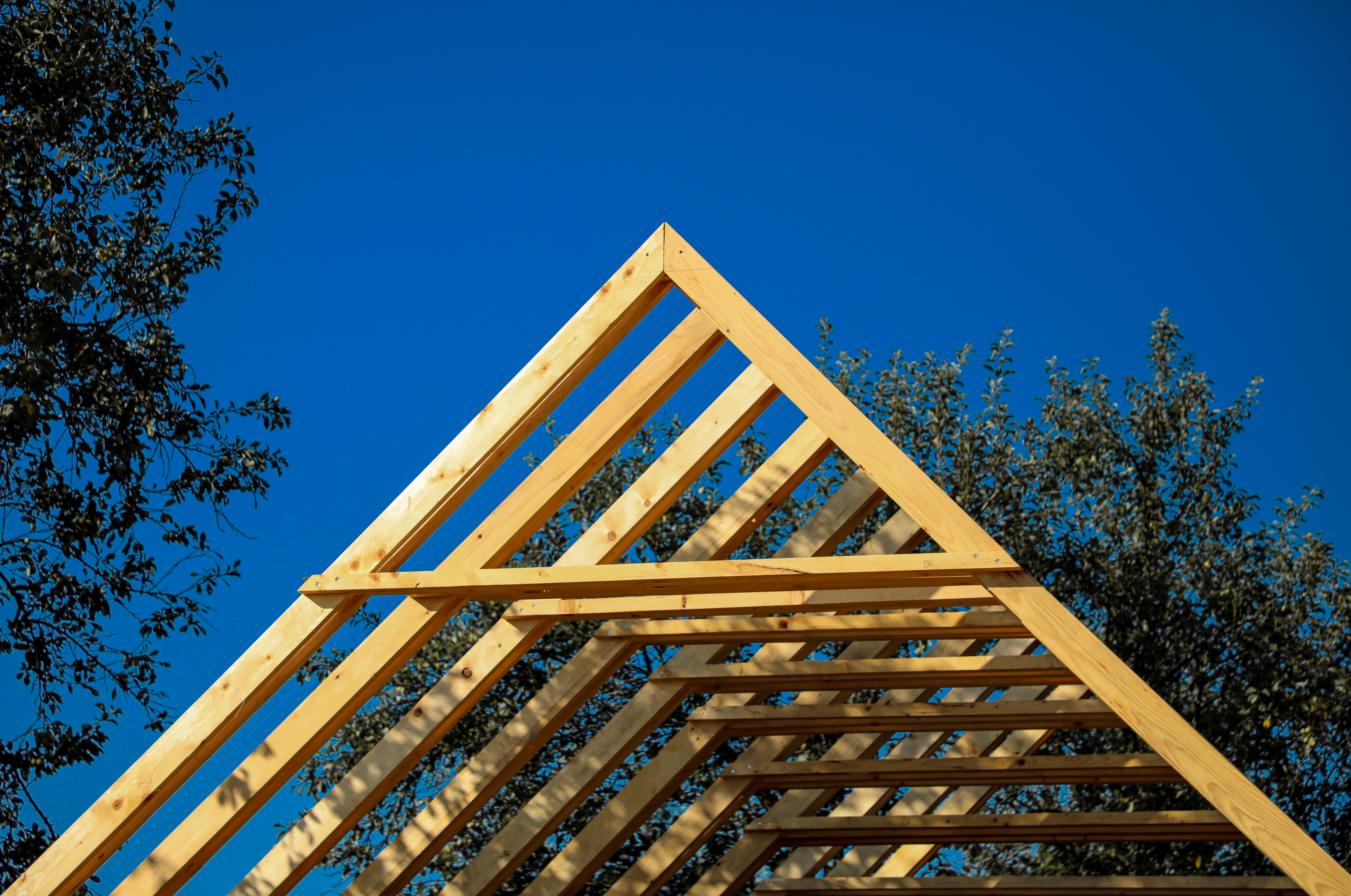 lupan-stefania intru-devenirea-verdelui-viu