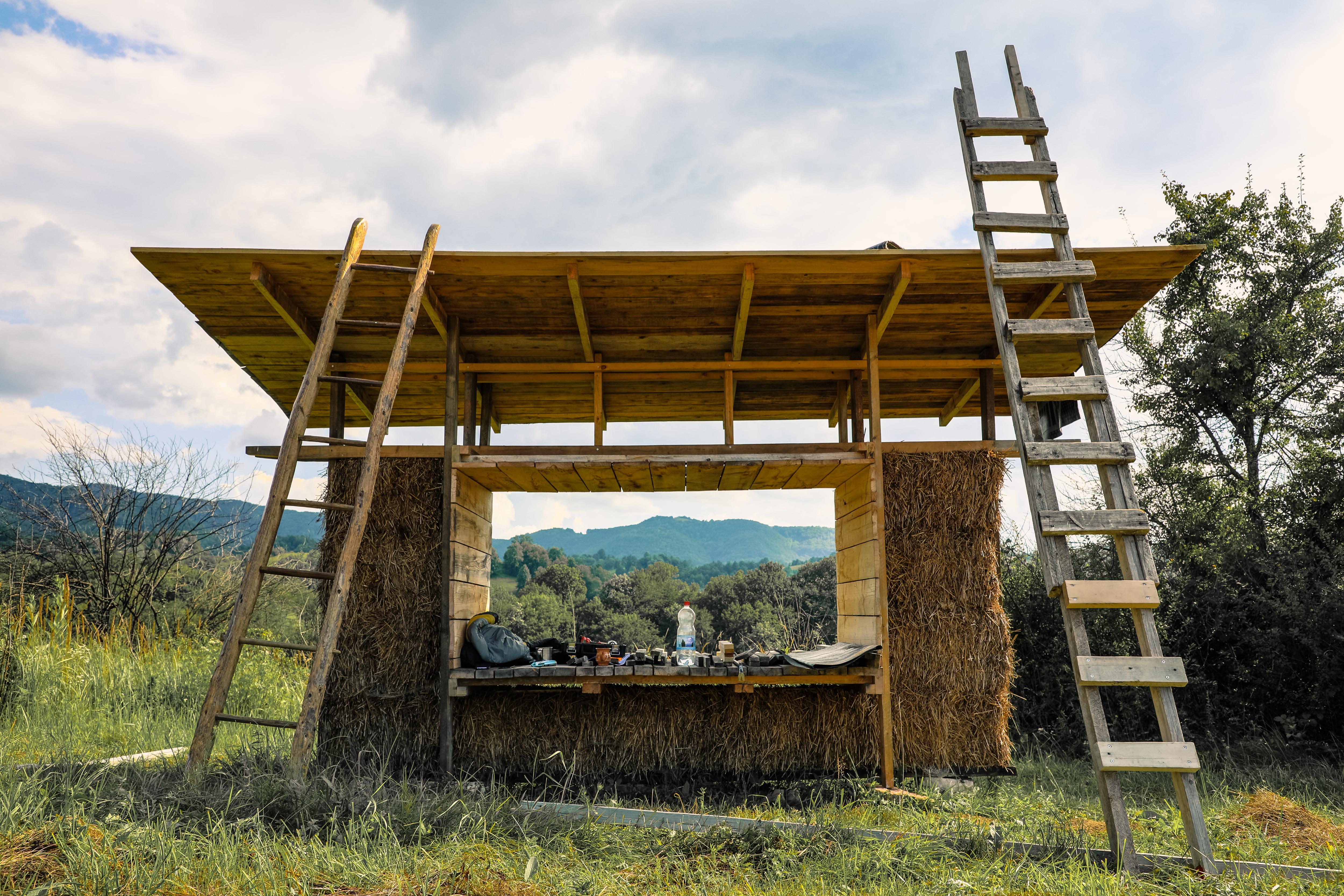 lupan-stefania intru-devenirea-verdelui-viu