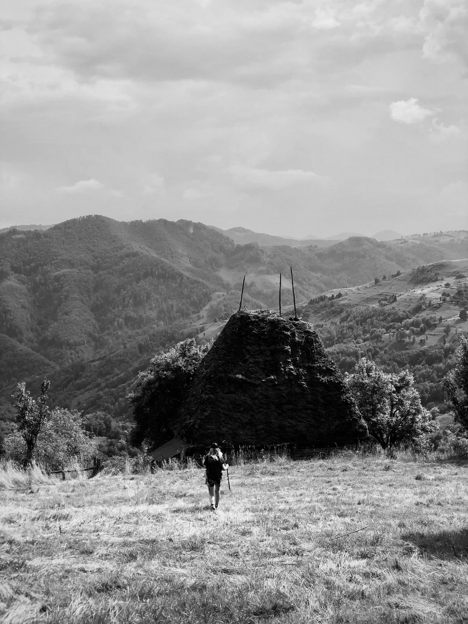 alexandra-urcan surile-din-apuseni Omul și Șura de mutătură, Scărița Belioara