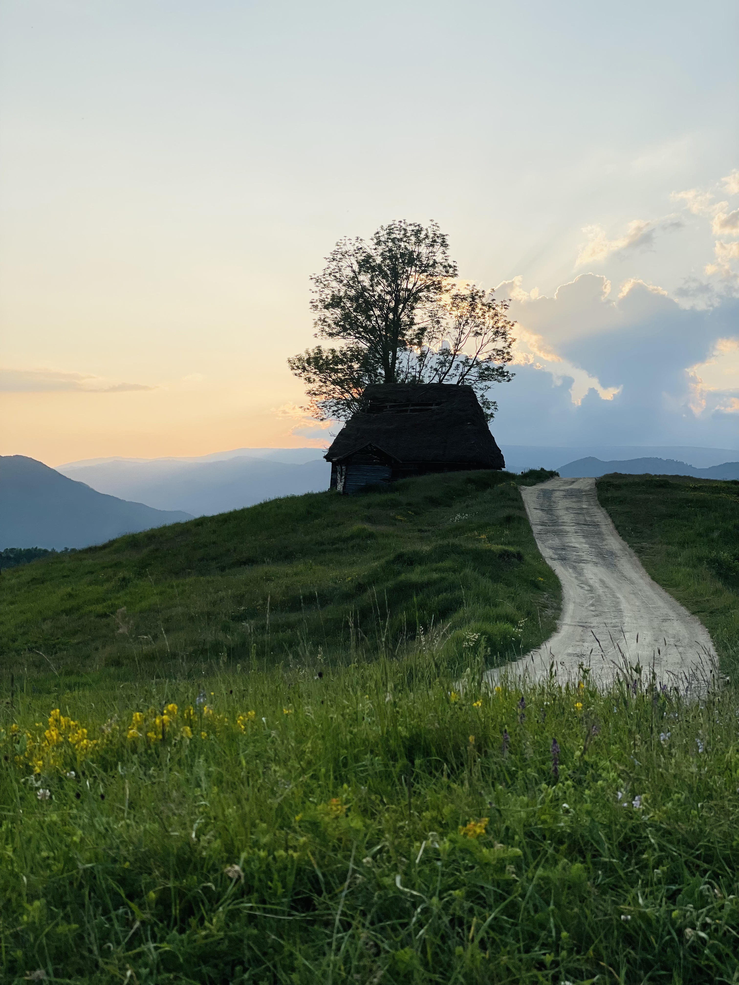 alexandra-urcan surile-din-apuseni Șura la apus, culmile Dumești, Sălciua