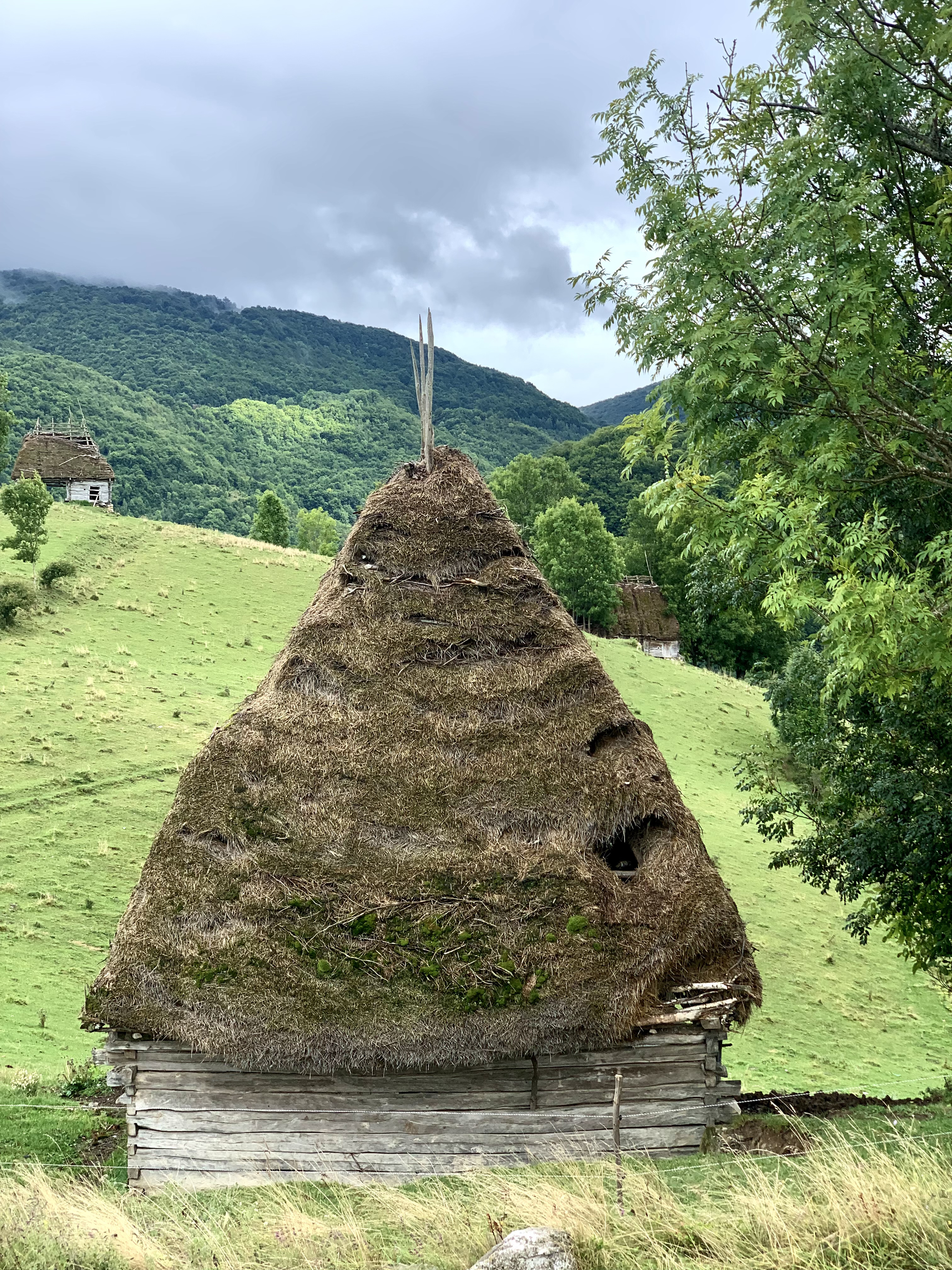 alexandra-urcan surile-din-apuseni Șurile poveste din Dumești