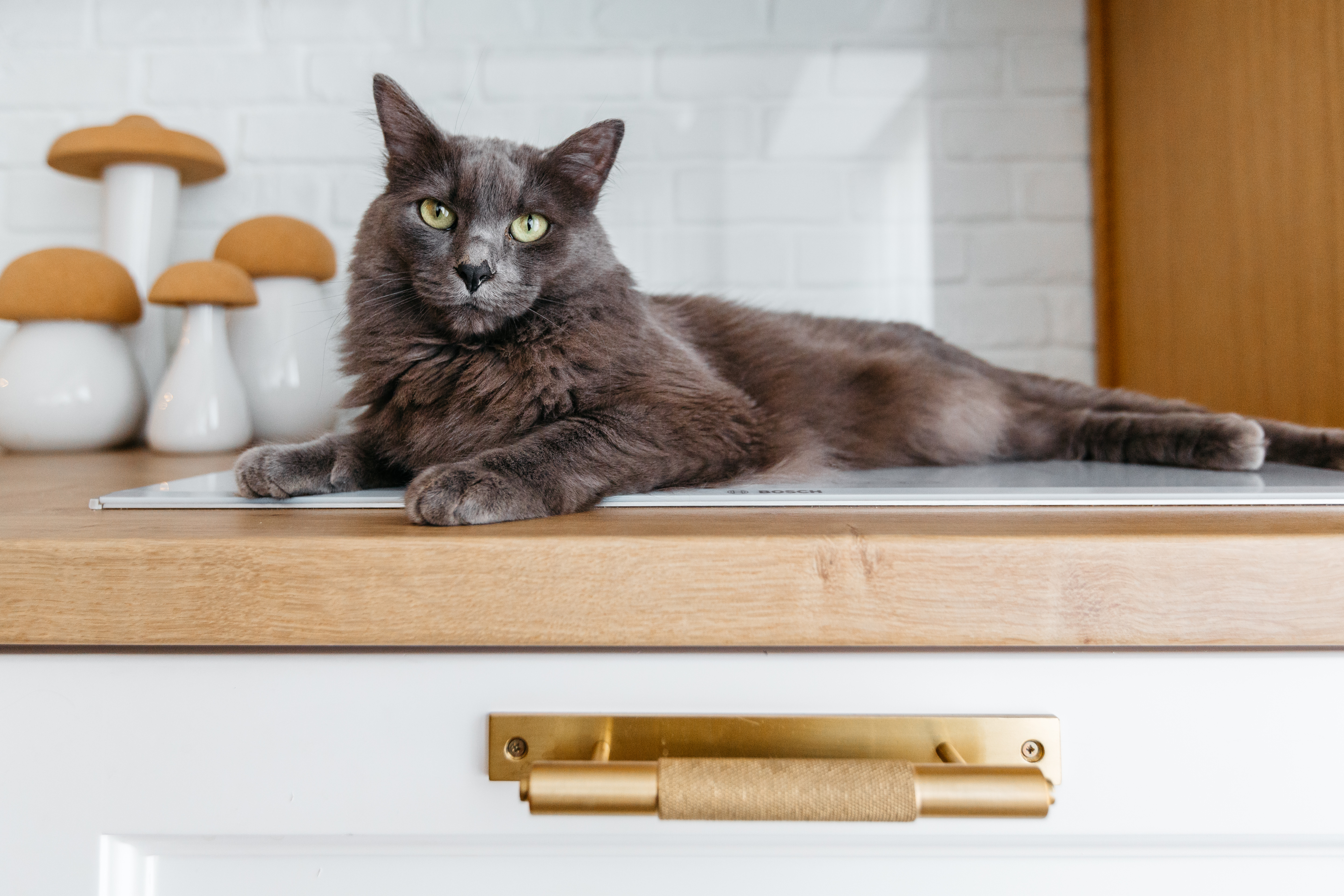 simion-sebastian-tataru interior-b2 interior b2-