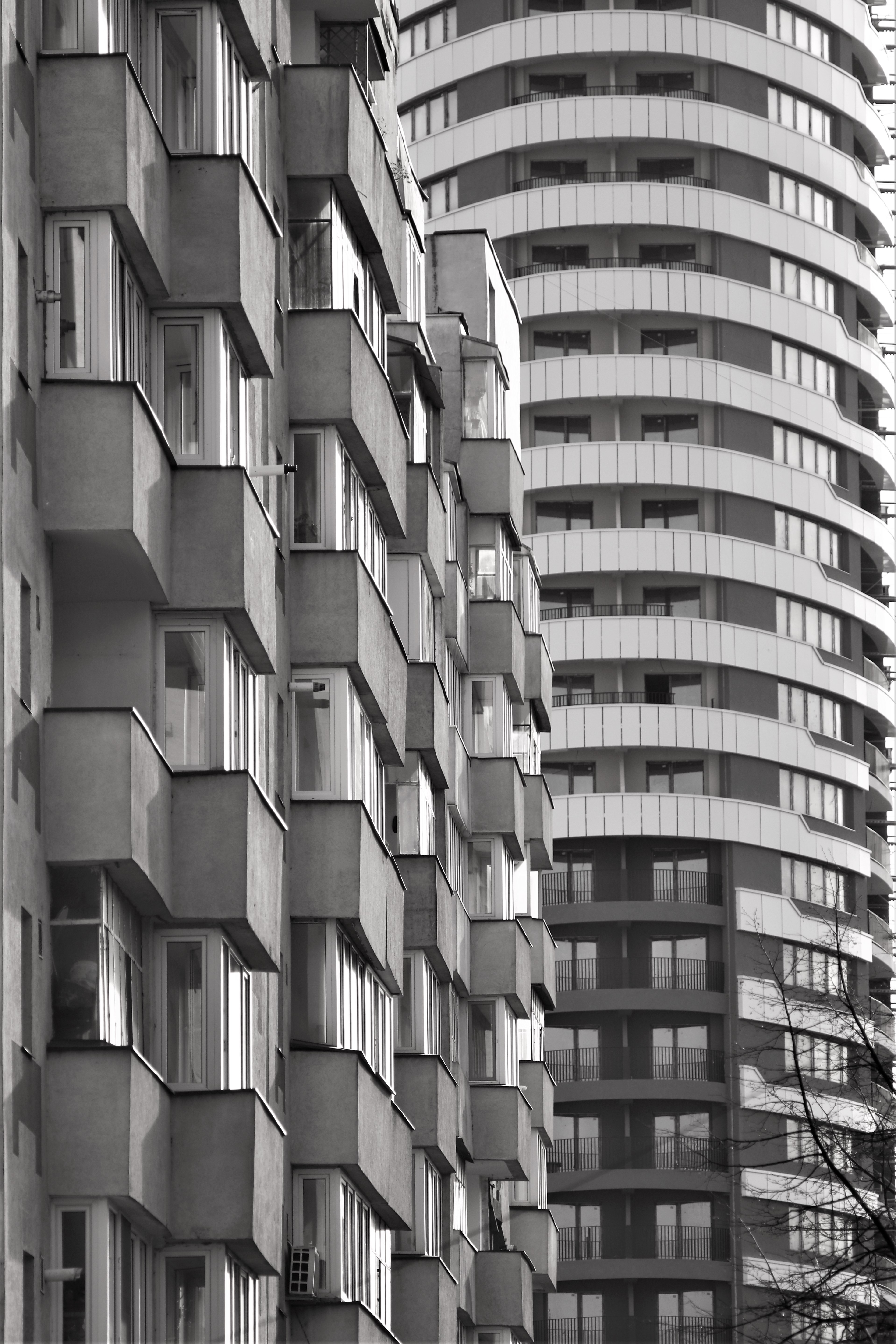 dora-trusca stup dora trusca west city cluj napoca