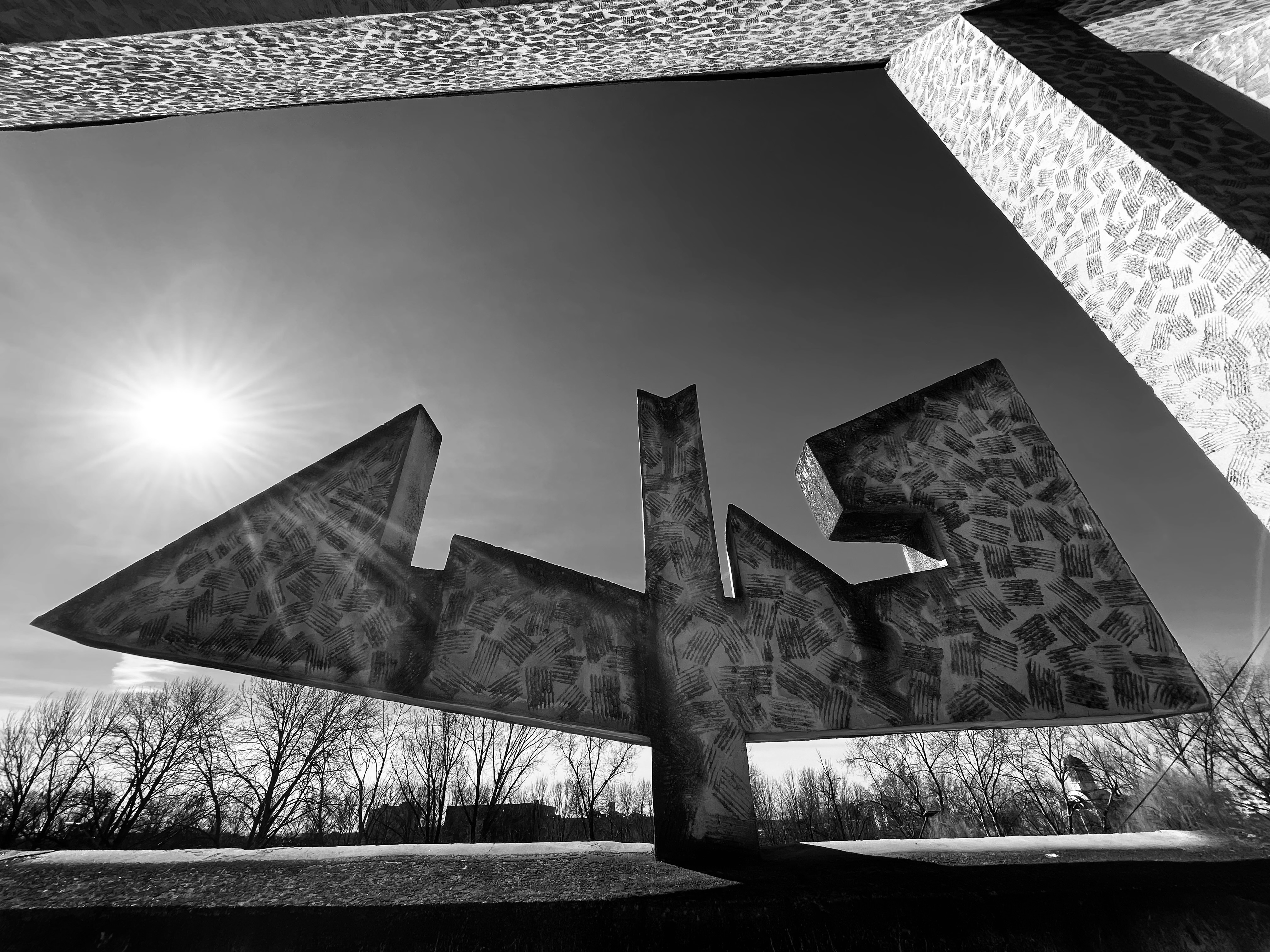 csok-zsolt umbre-inaripate IMG