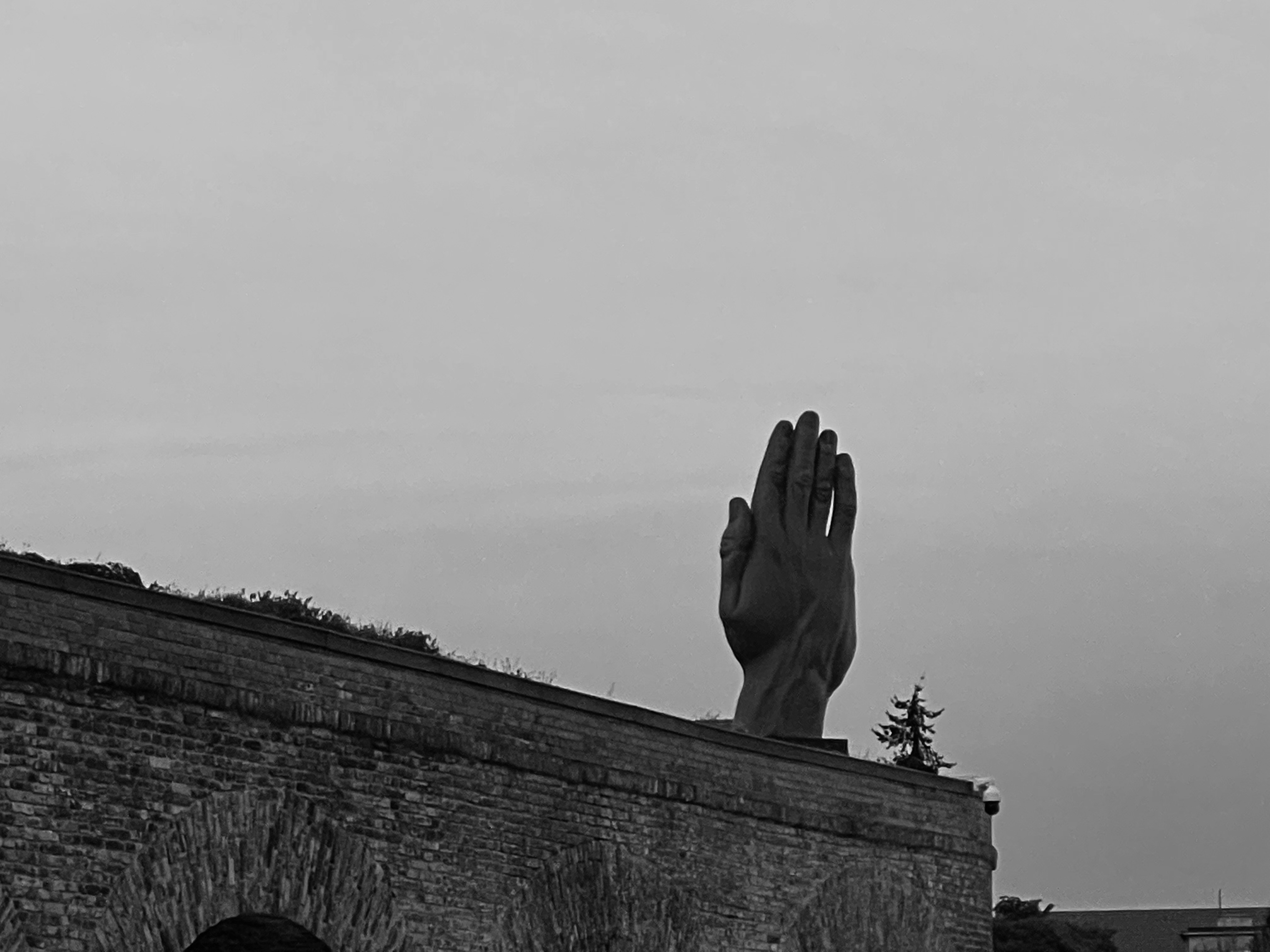 csok-zsolt umbre-inaripate IMG