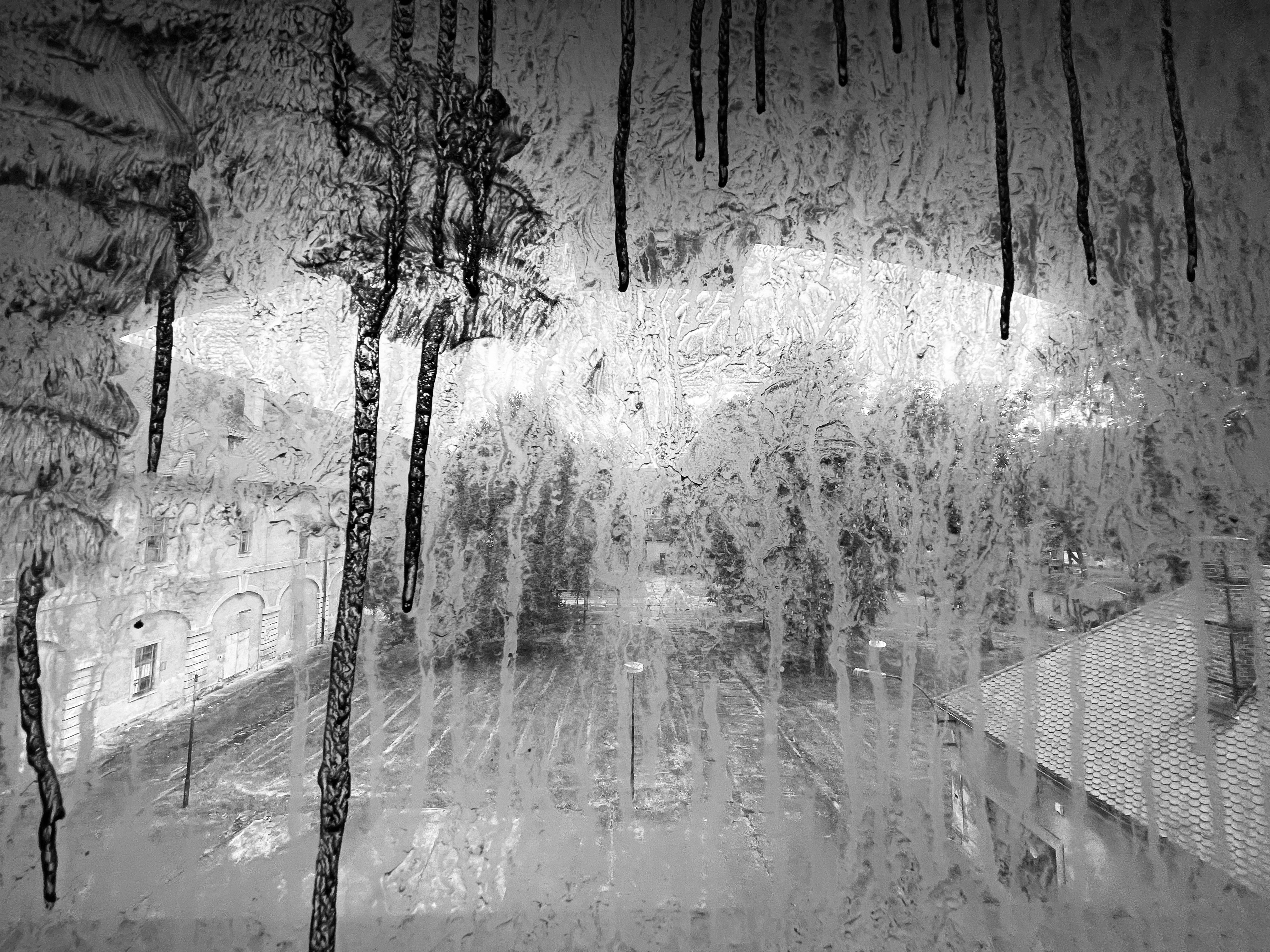 csok-zsolt umbre-inaripate IMG