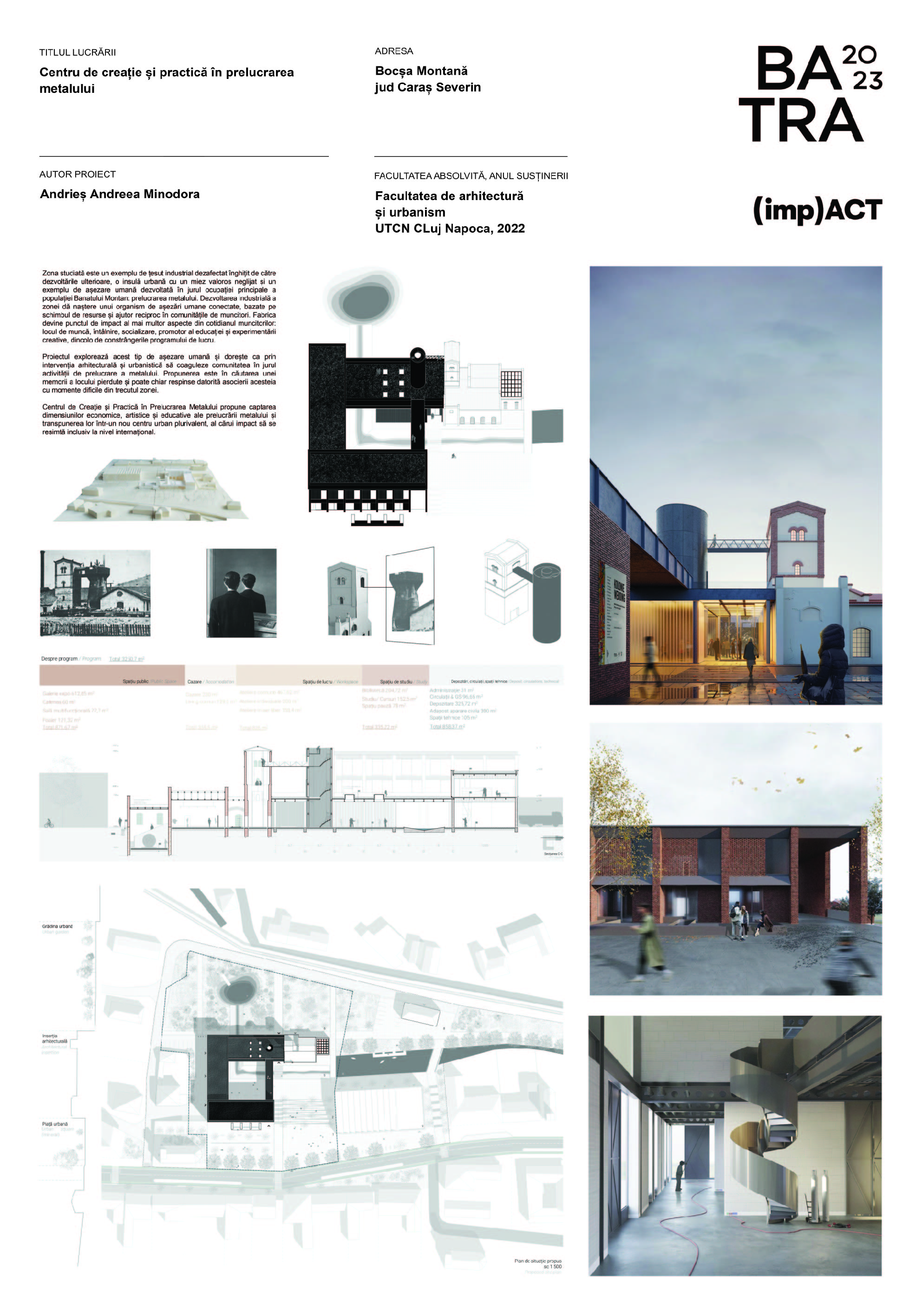 D 21 Diploma Andries Andreea - Panou BATRA